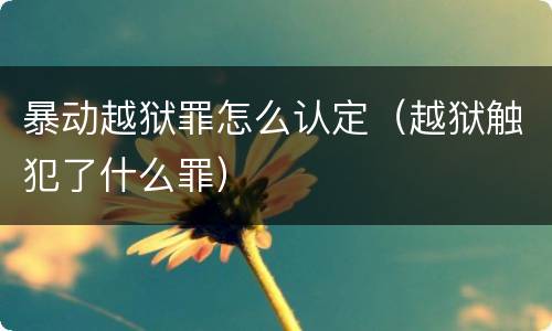 暴动越狱罪怎么认定（越狱触犯了什么罪）