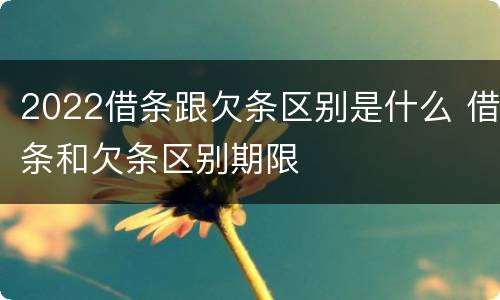 2022借条跟欠条区别是什么 借条和欠条区别期限