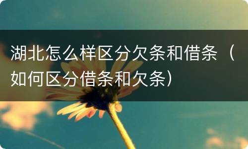 湖北怎么样区分欠条和借条（如何区分借条和欠条）
