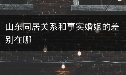 山东同居关系和事实婚姻的差别在哪