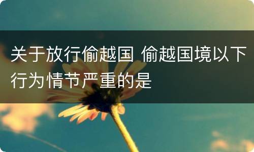 关于放行偷越国 偷越国境以下行为情节严重的是