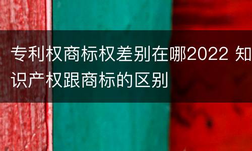 专利权商标权差别在哪2022 知识产权跟商标的区别