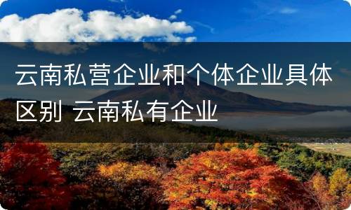 云南私营企业和个体企业具体区别 云南私有企业