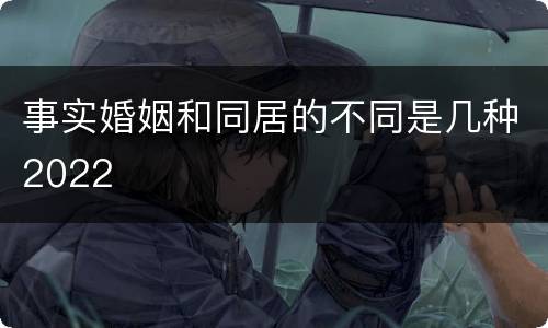 事实婚姻和同居的不同是几种2022