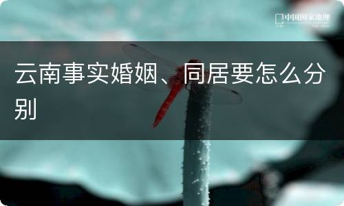 云南事实婚姻、同居要怎么分别