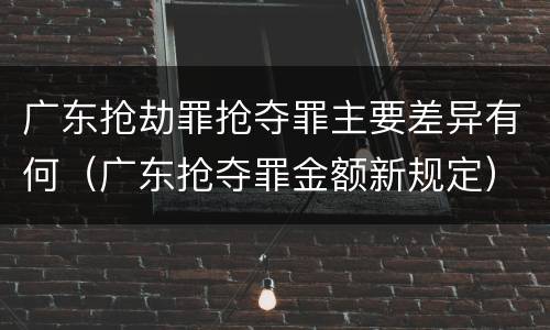 广东抢劫罪抢夺罪主要差异有何（广东抢夺罪金额新规定）