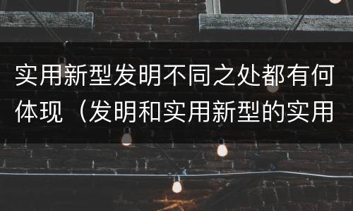 实用新型发明不同之处都有何体现（发明和实用新型的实用性）