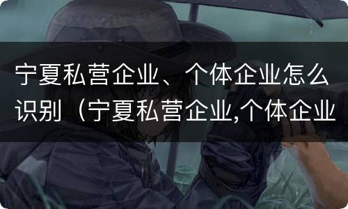 宁夏私营企业、个体企业怎么识别（宁夏私营企业,个体企业怎么识别真假）