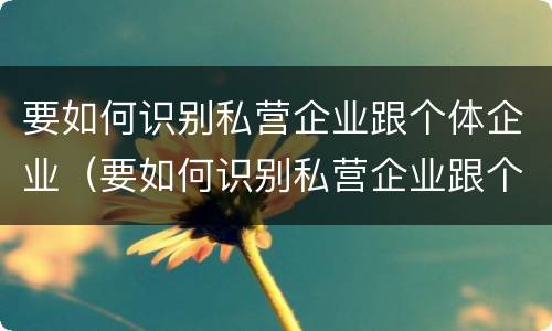 要如何识别私营企业跟个体企业（要如何识别私营企业跟个体企业的区别）