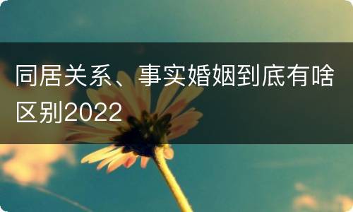 同居关系、事实婚姻到底有啥区别2022