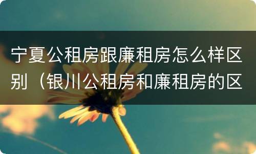 宁夏公租房跟廉租房怎么样区别（银川公租房和廉租房的区别）