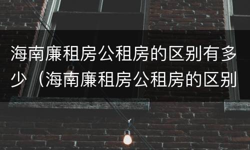 海南廉租房公租房的区别有多少（海南廉租房公租房的区别有多少个）