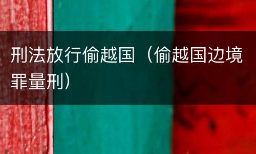刑法放行偷越国（偷越国边境罪量刑）