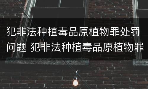 犯非法种植毒品原植物罪处罚问题 犯非法种植毒品原植物罪处罚问题