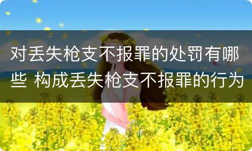对丢失枪支不报罪的处罚有哪些 构成丢失枪支不报罪的行为