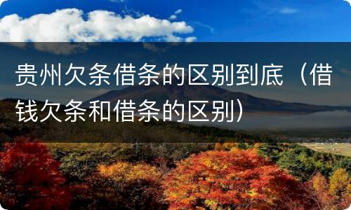 贵州欠条借条的区别到底（借钱欠条和借条的区别）