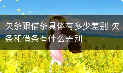 欠条跟借条具体有多少差别 欠条和借条有什么差别