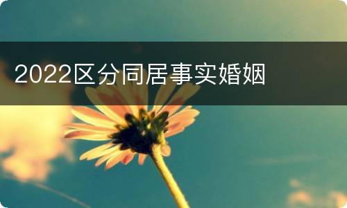 2022区分同居事实婚姻