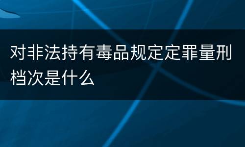 对非法持有毒品规定定罪量刑档次是什么