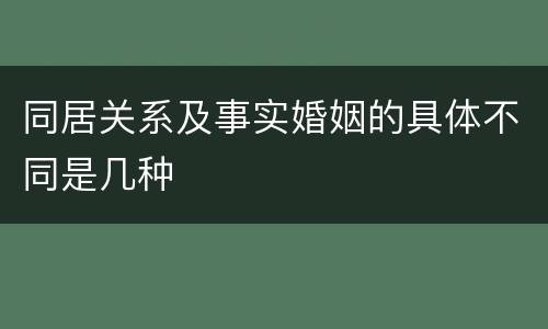 同居关系及事实婚姻的具体不同是几种