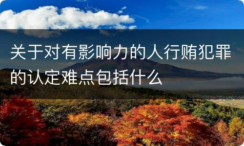 关于对有影响力的人行贿犯罪的认定难点包括什么
