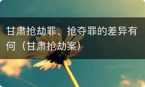 甘肃抢劫罪、抢夺罪的差异有何（甘肃抢劫案）