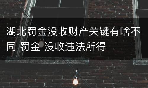 湖北罚金没收财产关键有啥不同 罚金 没收违法所得