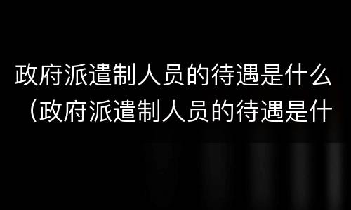 政府派遣制人员的待遇是什么（政府派遣制人员的待遇是什么级别）