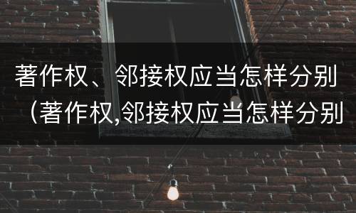 著作权、邻接权应当怎样分别（著作权,邻接权应当怎样分别授权）