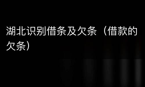 湖北识别借条及欠条（借款的欠条）