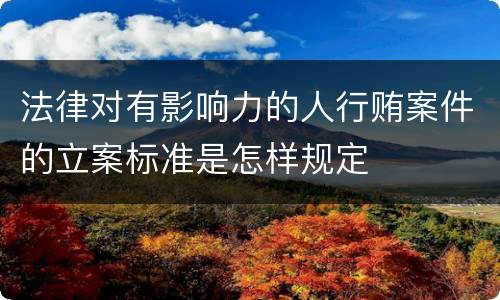 法律对有影响力的人行贿案件的立案标准是怎样规定