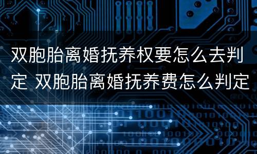 双胞胎离婚抚养权要怎么去判定 双胞胎离婚抚养费怎么判定
