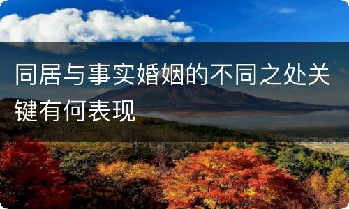 同居与事实婚姻的不同之处关键有何表现