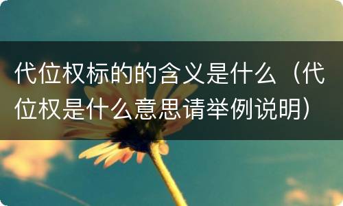 代位权标的的含义是什么（代位权是什么意思请举例说明）