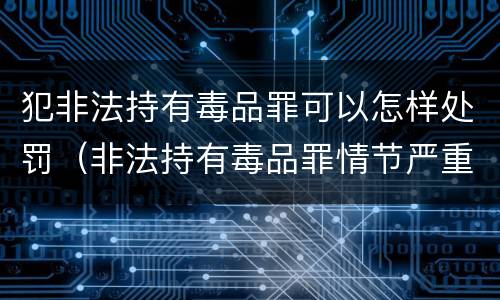 犯非法持有毒品罪可以怎样处罚（非法持有毒品罪情节严重）