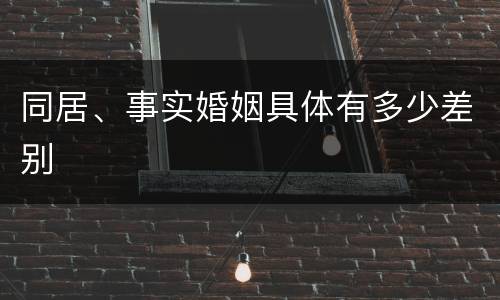 同居、事实婚姻具体有多少差别