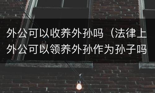 外公可以收养外孙吗（法律上外公可以领养外孙作为孙子吗）