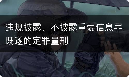 违规披露、不披露重要信息罪既遂的定罪量刑