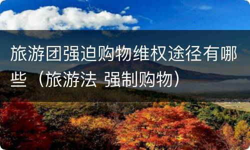 旅游团强迫购物维权途径有哪些（旅游法 强制购物）