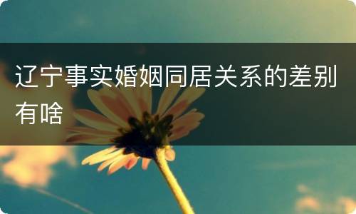 辽宁事实婚姻同居关系的差别有啥