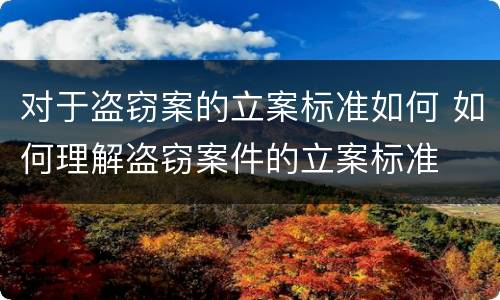 对于盗窃案的立案标准如何 如何理解盗窃案件的立案标准