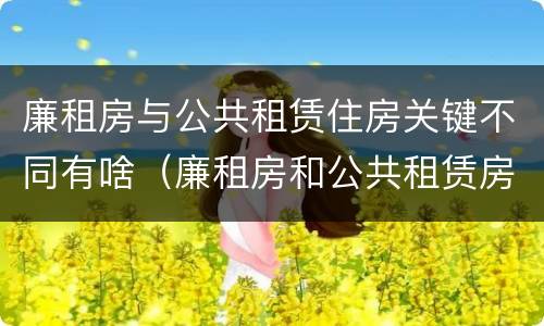 廉租房与公共租赁住房关键不同有啥（廉租房和公共租赁房的区别）
