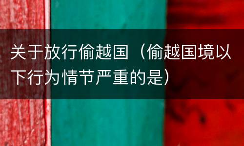 关于放行偷越国（偷越国境以下行为情节严重的是）