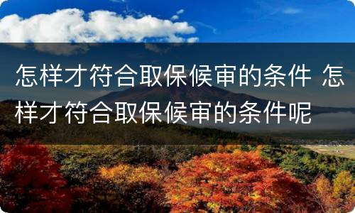 怎样才符合取保候审的条件 怎样才符合取保候审的条件呢