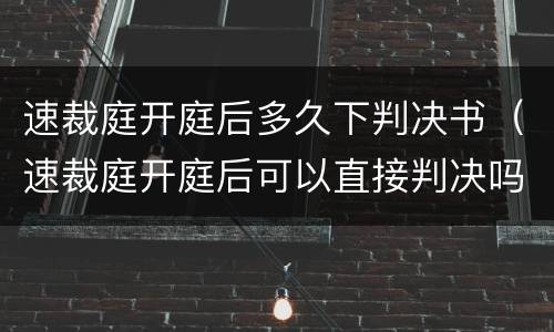 速裁庭开庭后多久下判决书（速裁庭开庭后可以直接判决吗）