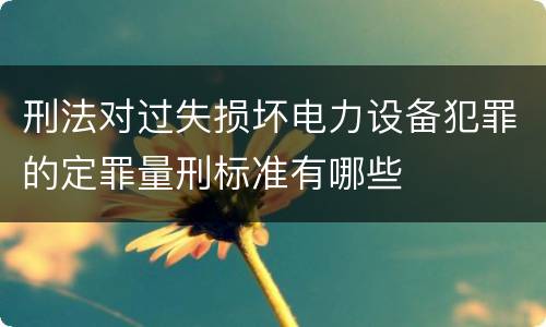 刑法对过失损坏电力设备犯罪的定罪量刑标准有哪些