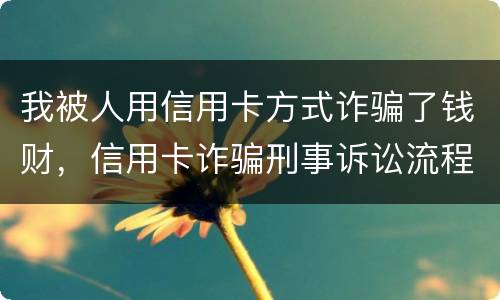 我被人用信用卡方式诈骗了钱财，信用卡诈骗刑事诉讼流程