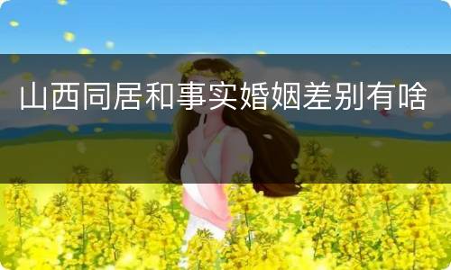 山西同居和事实婚姻差别有啥