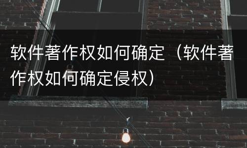 软件著作权如何确定（软件著作权如何确定侵权）