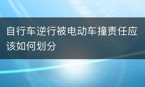 自行车逆行被电动车撞责任应该如何划分